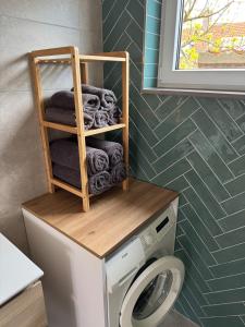 a bathroom with a washing machine with a wooden rack at Casa Del Faro in Westkapelle