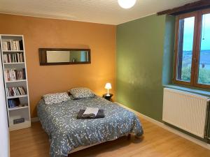 ein Schlafzimmer mit einem Bett und einem Bücherregal in der Unterkunft 70m2 dans une ferme en Isère in Le Pont-de-Beauvoisin