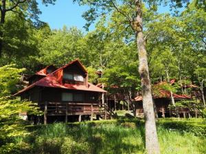 une cabane en rondins au milieu d'une forêt dans l'établissement Sky Lodge Gingamura - Vacation STAY 84333v, à Shironita