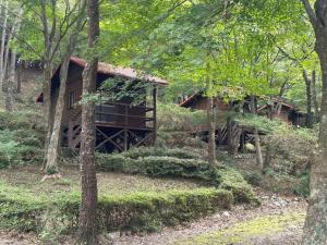 une cabane en rondins entourée d'arbres dans l'établissement Sky Lodge Gingamura - Vacation STAY 84488v, à Shironita 2 autres photos