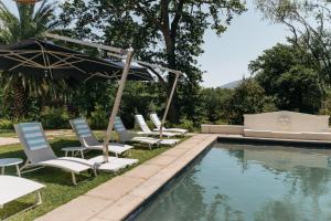 a group of chairs and an umbrella next to a pool at Klein Champagne Guesthouse and Cottages in Franschhoek