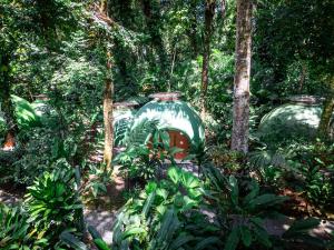 two large vases in the middle of a forest at Nowhere in Bocas del Toro