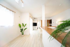 eine Küche mit weißen Wänden und einer Theke mit einer Pflanze in der Unterkunft Kuwana - House - Vacation STAY 85367v in Maegasu-shinden