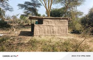 Ảnh trong thư viện ảnh của Majimoto Bushpig Camp ở Narok