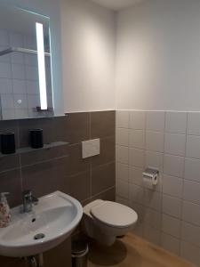 a bathroom with a toilet and a sink at Ferienhaus Würzgarte in Ürzig +32 photos