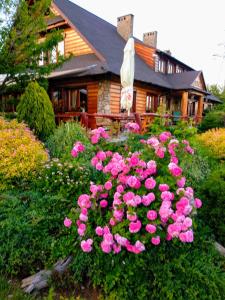 a bunch of pink flowers in front of a house at Oberża in Czeladź