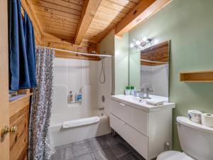 une salle de bains avec lavabo, baignoire et toilettes dans l'établissement 1 bedroom with a loft and hot tub cabin 45 minutes to Asheville, à Marion 44 autres photos
