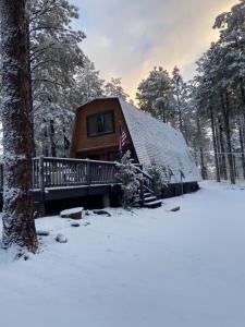 une cabane en rondins dans les bois dans la neige dans l'établissement Grand Canyon Cabin! One hour and 10 minutes to the South Entrance!, à Williams