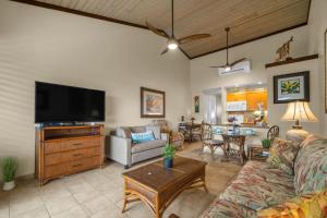 卡普鲁亚Napili Shores F248的配有沙发和平板电视的客厅