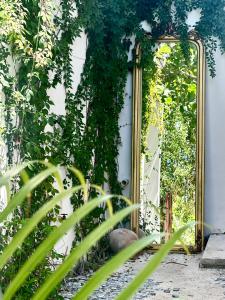 a mirror leaning against a wall with plants at COCCOLOBA in Holbox Island +74 photos