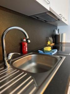 um lavatório numa cozinha com torneira em Topspot Wallis 30 min nach Zermatt oder SaasFee em Stalden mais 43 fotografias