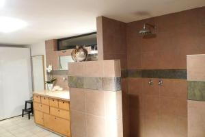 ein Badezimmer mit einem Waschbecken und einer Katze, die auf der Wand sitzt in der Unterkunft Ferienhaus In Walscheid Mit Terrasse, Grill in Walscheid