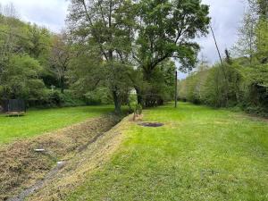 ein Feld mit einem Baum in der Mitte in der Unterkunft Serenity Briolance in Blanquefort-sur-Briolance