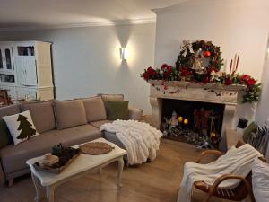 ein Wohnzimmer mit Couch und Kamin in der Unterkunft L'Orée des Champs in Magny-Fouchard