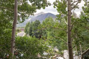 a view of a mountain through the trees at Lagoon Royal Townhome: Mountain Views Meet Modern Comforts in Frisco