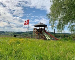 a playground in a field with a red flag at Rehalp Westen in Bischofszell