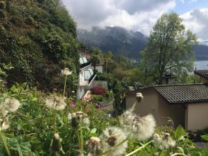 Φυσικό τοπίο κοντά σε αυτό το διαμέρισμα