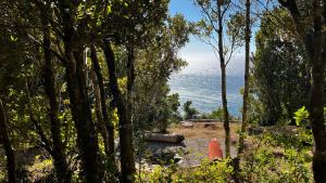a view of the ocean through the trees at Ko Glamping in Valdivia