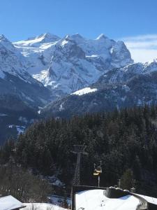 Γενική θέα στο βουνό ή θέα στο βουνό από  αυτό το διαμέρισμα +10 φωτογραφίες