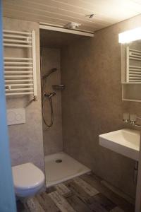une salle de bains avec douche, toilettes et lavabo dans l'établissement Bühlengasse 6, à Grindelwald