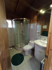 um banheiro com chuveiro, vaso sanitário e pia em CASA CON TINAJA, PISCINA Y QUINCHO - Pucón em Pucón