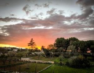 Una puesta de sol sobre un parque con árboles y césped. en Masseria Latorre Locorotondo, en Locorotondo 70 fotos más