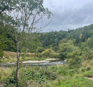 Φυσικό τοπίο κοντά σε αυτό το διαμέρισμα