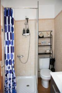 La salle de bains est pourvue d'une douche et de toilettes. dans l'établissement Casa María en el centro Nerja, à Nerja