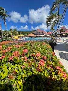 Zahrada ubytování Appart T2 les Saintes 34 Pierre et Vacances