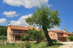 a house with a tree in front of it at Agriturismo Monte degli Aromi in Villaga
