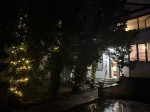ein nachts beleuchtetes Haus mit einem Weihnachtsbaum in der Unterkunft Christmas House in Craiova