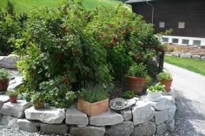 Κήπος έξω από το Hof Quadra +9 φωτογραφίες