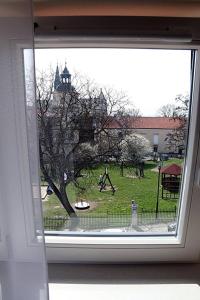 uma janela com vista para um parque com uma árvore em Ośrodek Architektury i Humanistyki em Sandomierz