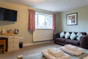 TV a/nebo společenská místnost v ubytování The Plough Inn