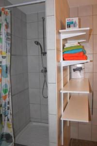 ein Badezimmer mit einer Dusche und Regalen mit Handtüchern in der Unterkunft Spacieux 4 pièces centre de mulhouse in Mulhouse