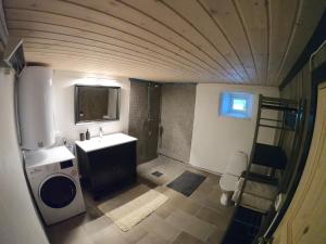 Un pequeño baño con lavabo y ducha. en Fox Cabin, en Lyngen 11 fotos más