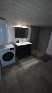 a kitchen with a stove and a sink in a room at Fox Cabin in Lyngen +1 photo