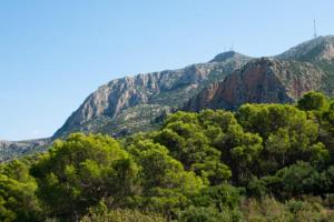 Φυσικό τοπίο κοντά σε αυτός ο ξενώνας +52 φωτογραφίες
