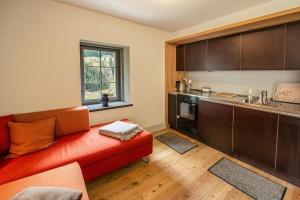 Η κουζίνα ή μικρή κουζίνα στο Eggwald