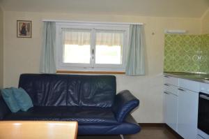 Η κουζίνα ή μικρή κουζίνα στο Ferienwohnung Sutter In Brülisau Bei Appenzell