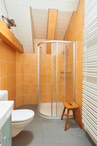 une salle de bain avec douche et toilettes dans l'établissement Hof Höchi, à Bruggen