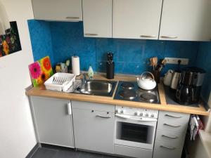 a small kitchen with a sink and a stove at Wohnung In Gießelrade Mit Großem Garten in Ahrensbök