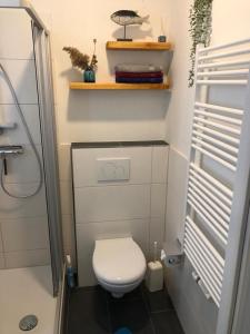 a small bathroom with a toilet and a shower at Wohnung In Gießelrade Mit Großem Garten in Ahrensbök