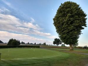 ein Baum mitten auf einem Golfplatz in der Unterkunft 6 person holiday home in Jægerspris-By Traum in Frederikssund