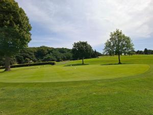 ein Golfplatz mit einem Grün mit zwei Bäumen in der Unterkunft 6 person holiday home in Jægerspris-By Traum in Frederikssund