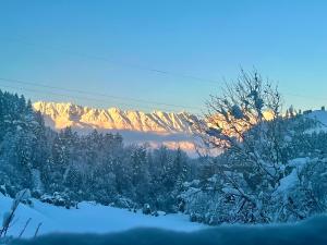 una montaña cubierta de nieve a lo lejos con árboles en Villa Evy, en Mutters