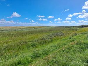 ein Feld von grünem Gras mit blauem Himmel und Wolken in der Unterkunft Cozy Retreat in Sonderho - By Traum Ferienwohnungen in Sønderho