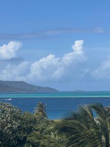 una vista de un cuerpo de agua con palmeras en Heikauiki home, en Uturoa