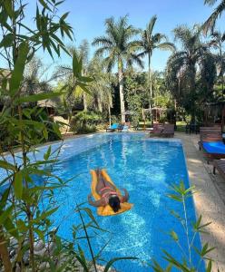 Bazén v ubytování Lodge Parana Ranch nebo v jeho okolí