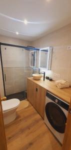 a bathroom with a toilet and a sink and a washing machine at SnowGranada Los Valles Daniela House in Monachil